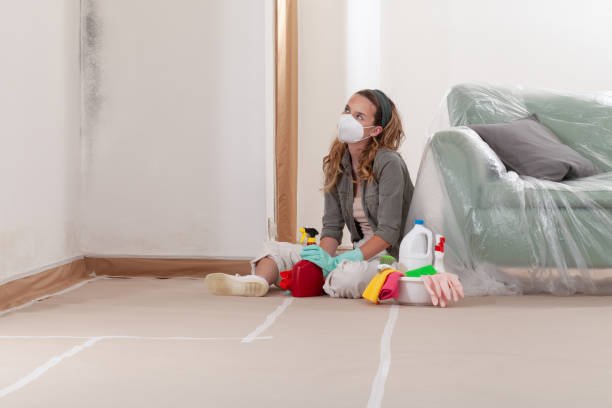 Reliable Mold Cleanup contractor in Redmond, OR by Cheap Mold Removal